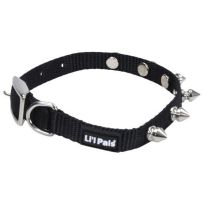 Lil Pals Spiked Nylon Dog Collar