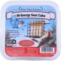 Pine Tree Farms Hi-Energy Suet, 2596502, 12 OZ