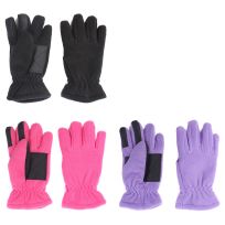 Igloos Built Waterproof 3M C40 Insulated Microfleece Touch Glove, A01-GG044, Assorted