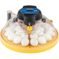Brinsea Maxi 24 Advance Digital Egg Incubator, USAC261C