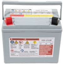 Cub Cadet® 12-Volt Absorbent Glass Mat (AGM) Battery - 230 CCA, 725P17130