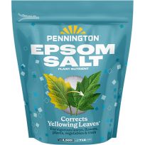 PENNINGTON® Epsom Salt Plant Nutrient, 100550657, 7 LB