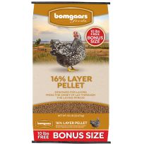 Bomgaars Feeds 16% Layer Pellet, Bonus Size, 80964-50, 50 LB Bag