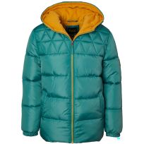 Ixtreme Kids Solid Hooded Puffer Jacket, Assorted Sizes, IX-854591-GRN, Green