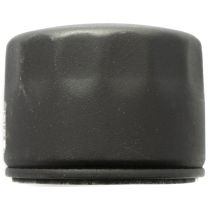 Cub Cadet® Oil Filter, 490-201-C007