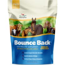 MannaPro&reg; Bounce Back&reg; Multi-Species Electrolyte Supplement, 1000353, 4 LB Bag