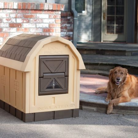 ASL Solutions Dog Palace Premium Insulated Dog House DP20 38.5 IN x 31.5 IN x 47.5 IN