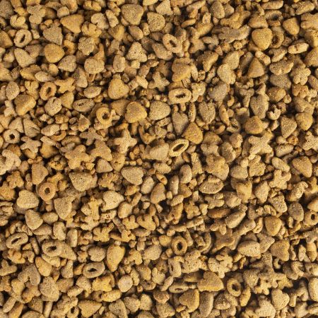 Bomgaars Kaytee Fiesta Natural Ferret Ferret Food