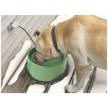Thermal dog bowl on sale