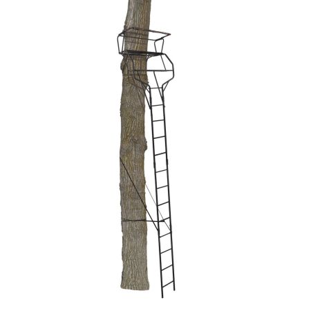 Big game ladder stands discount
