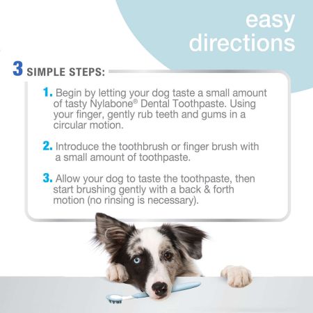 Nylabone tartar control toothpaste deals