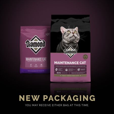 Bomgaars Diamond Maintenance Chicken Dry Cat Food Dry Food