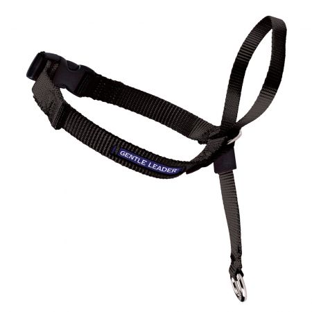 Medium gentle leader discount