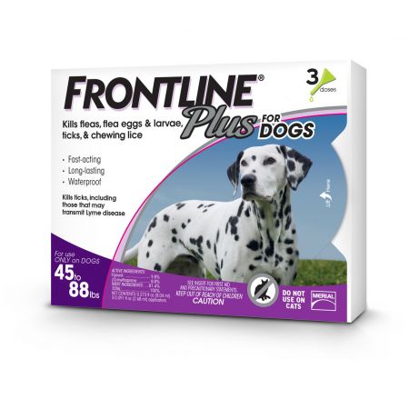 Frontline new arrivals plus rebate