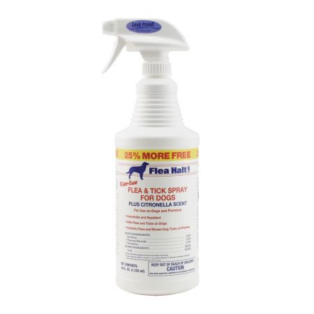 Citronella spray hotsell for dogs fleas