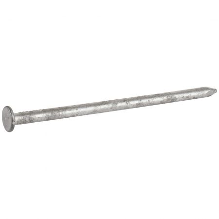 Grip-Rite 8d x 2-1/2 In. Hot Dipped Galvanized Common Nails (900 Ct., 10  Lb.) - Town Hardware & General Store