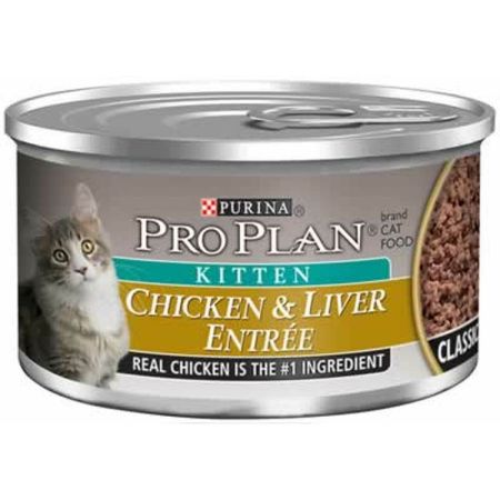 High protein wet kitten cheap food