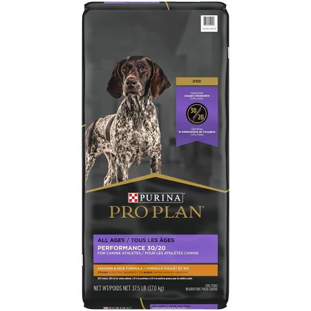 High calorie high protein dog food hot sale