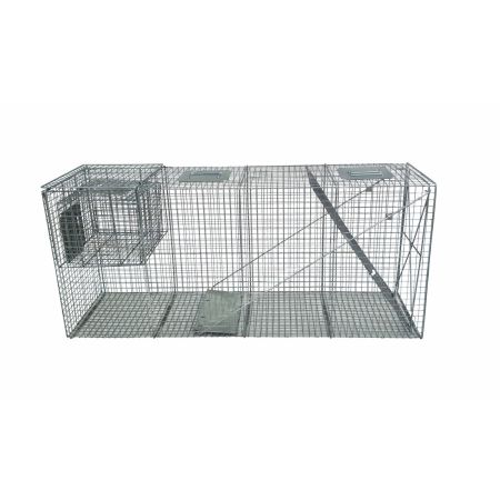 Coyote live sale trap