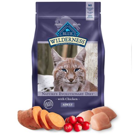 Blue wilderness cat food kitten online