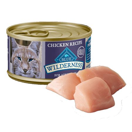 Blue wilderness kitten wet food clearance