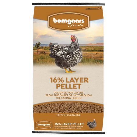 Bomgaars Bomgaars Feeds 16 Layer Pellet Poultry Feed