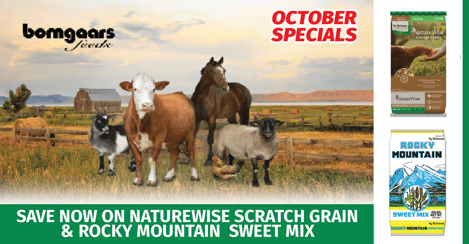 October Feed Special