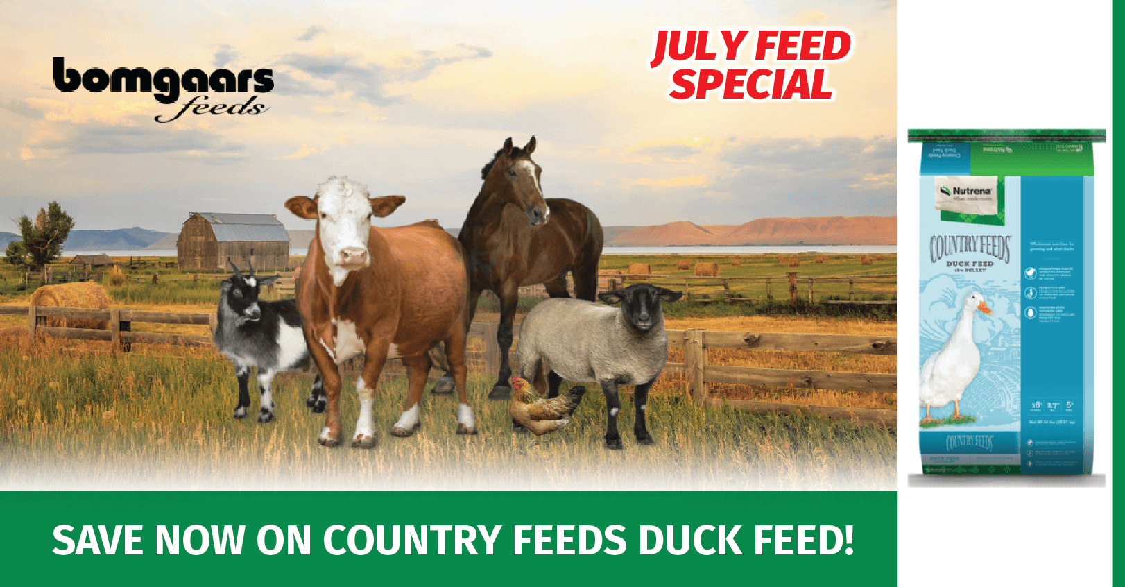 July 2022 Feed Special