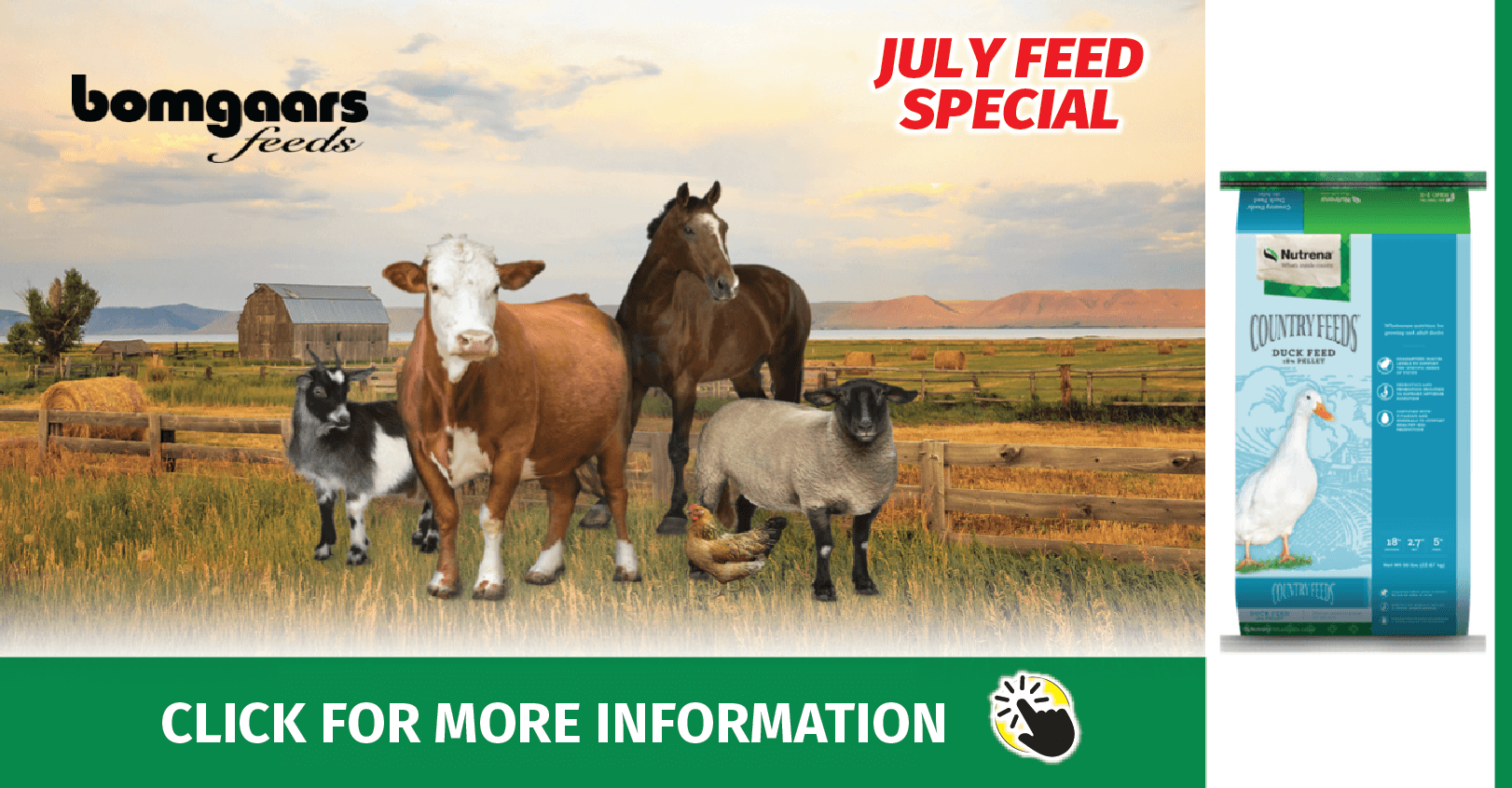 July 2022 Feed Special