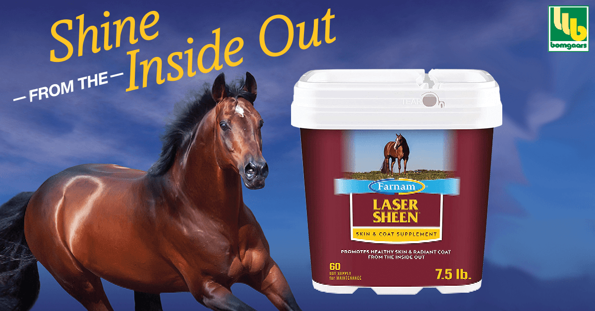 Farnam: Shine from the Inside Out