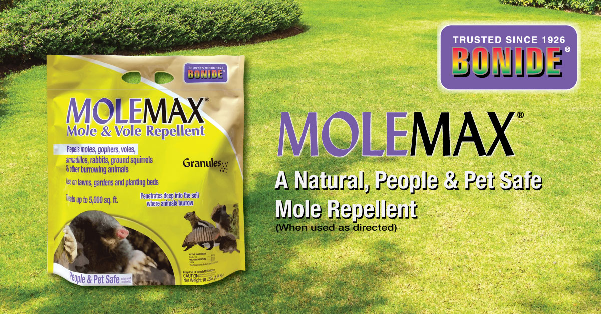 Bomgaars BLOG: Mole & Vole Repellent