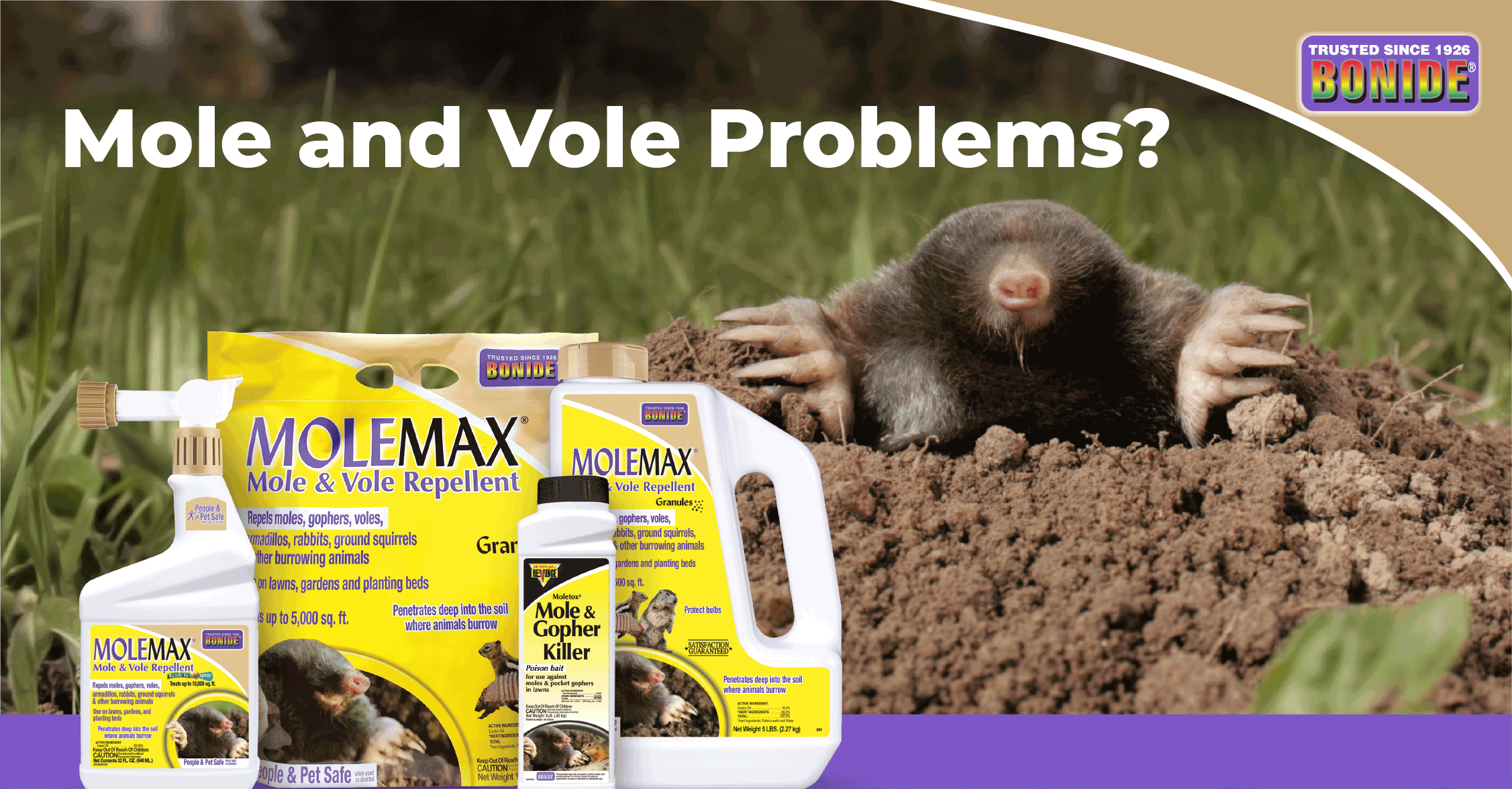 Mole and Vole Problems - Look to MoleMax