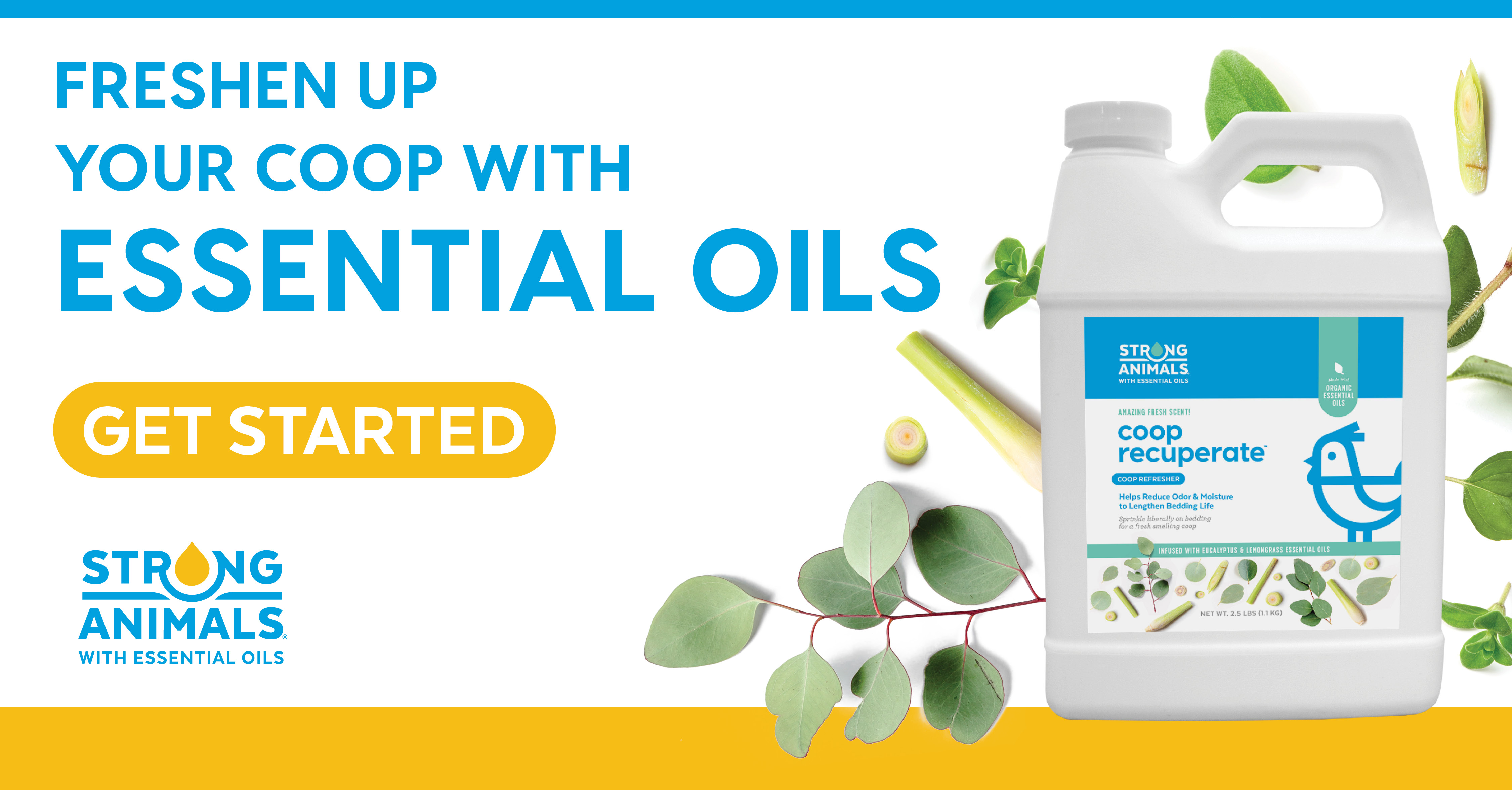 coop recuperate - essential oils