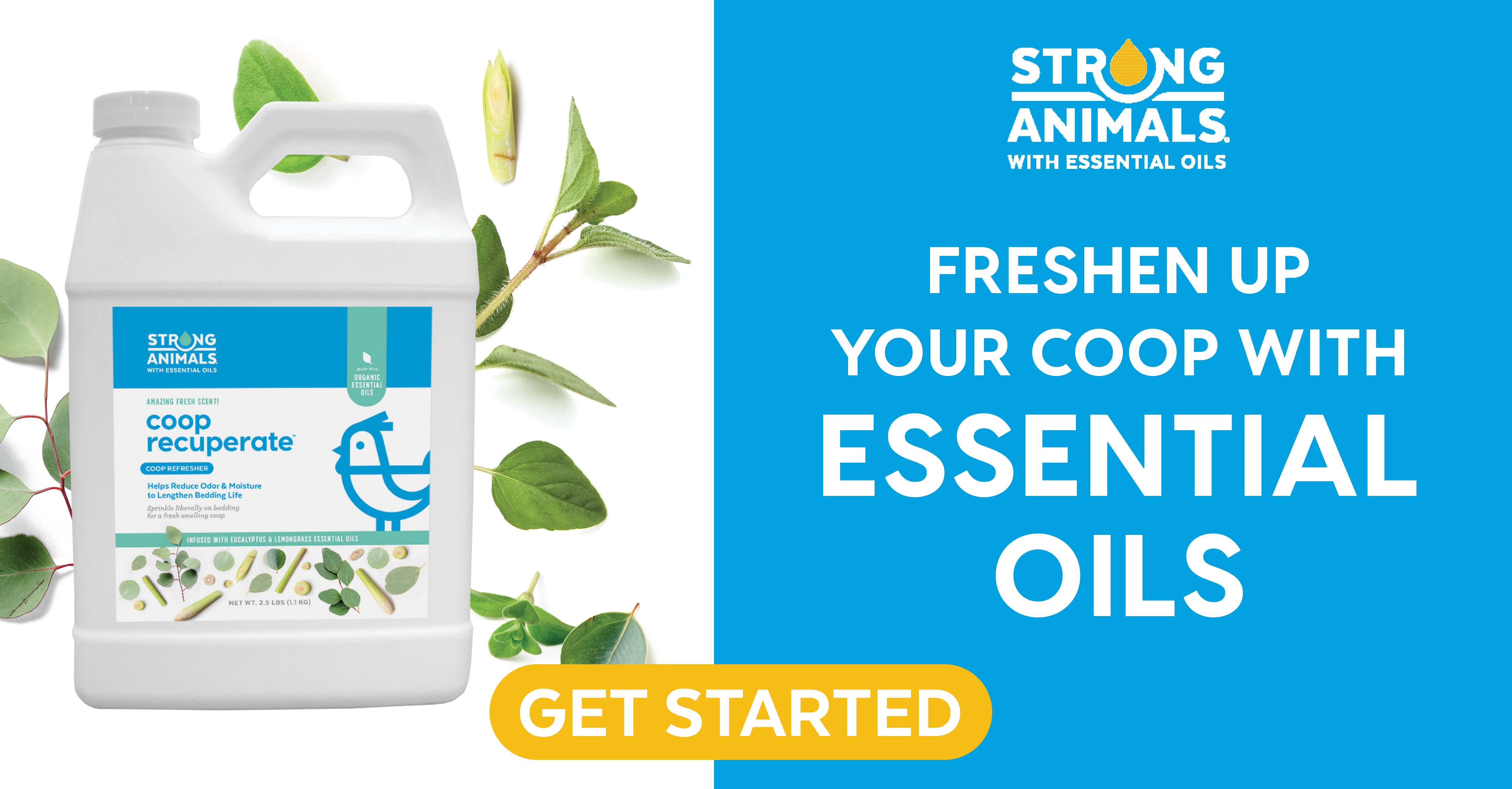 coop recuperate - essential oils