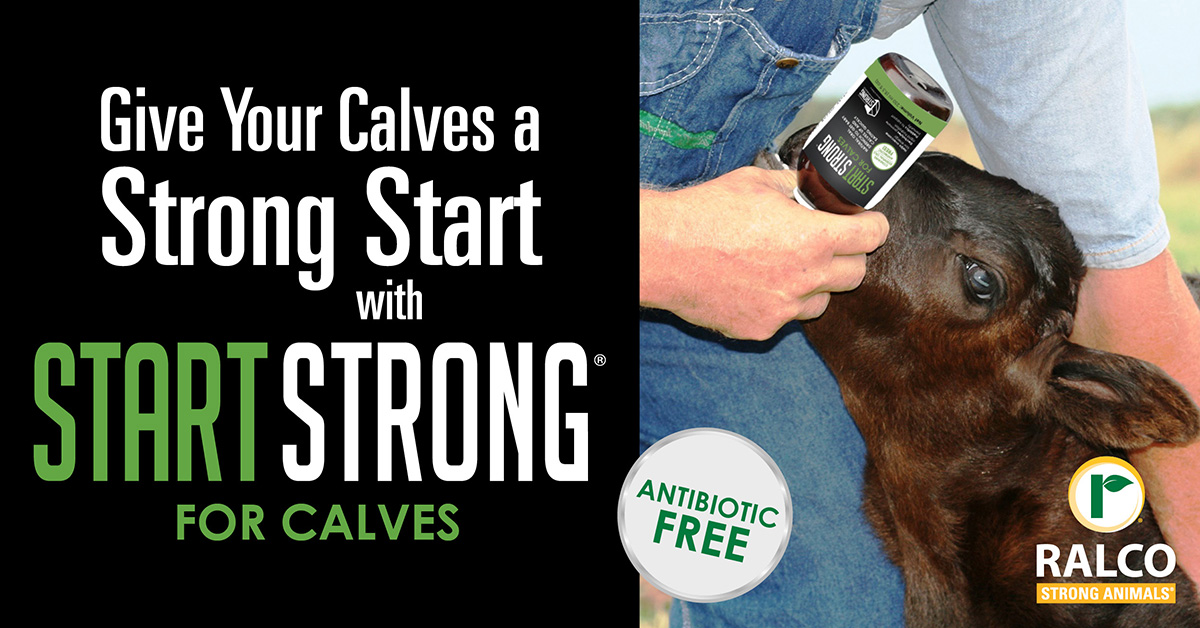 Start Strong® for Calves