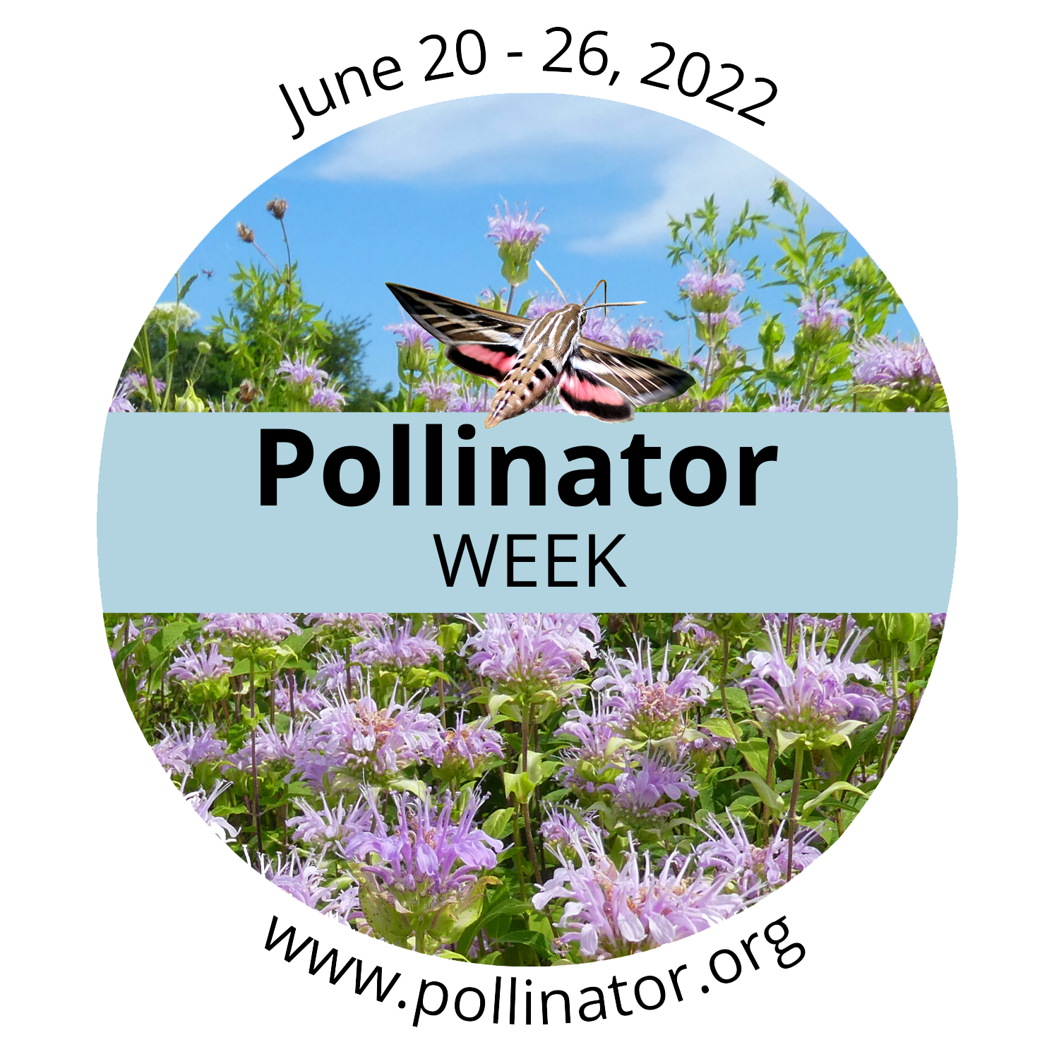 Bomgaars Celebrates Pollinator Week
