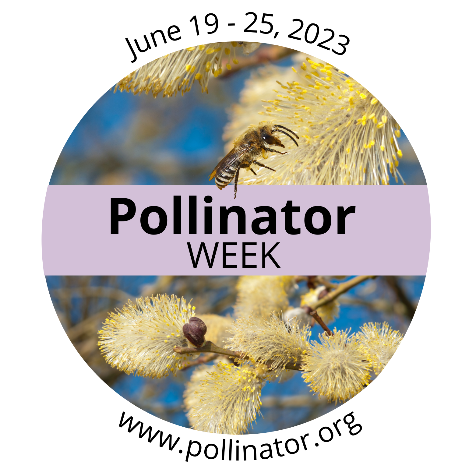 Bomgaars Celebrates Pollinator Week