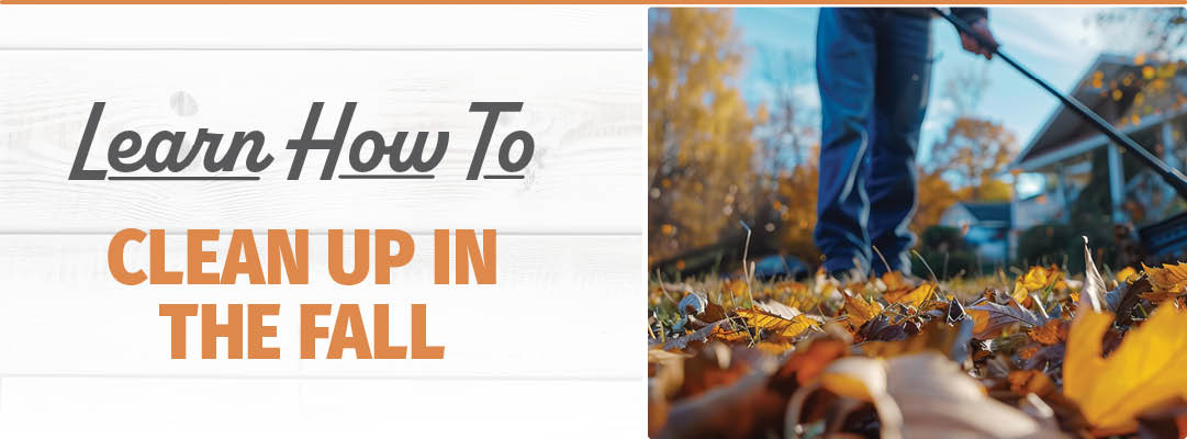 Fall Clean Up