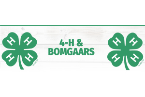 4-H