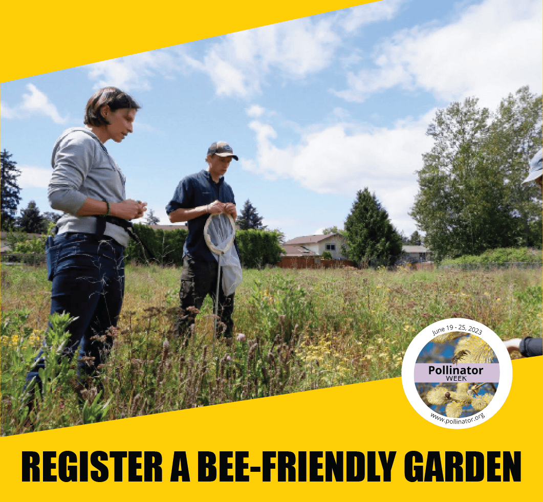 Register as a bee friendly farming garden Register as a bee friendly farming garden