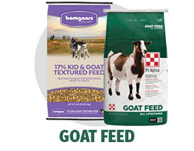 Goat Feed Goat Feed