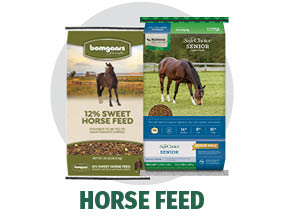 Horse Feeds Horse Feeds