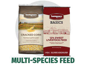 Multi-Species Feed Multi-Species Feed