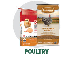 Poultry Feed Poultry Feed