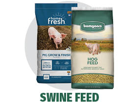 Swine Feed Swine Feed