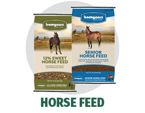 Bomgaars Feeds Horse Feeds