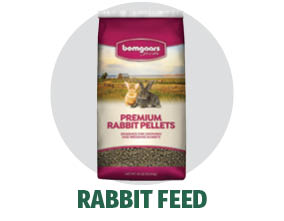 Bomgaars Feeds Rabbit Feed