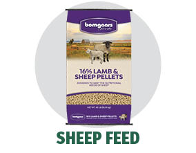 Bomgaars Feeds Sheep & Goat Feed