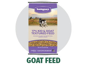 Bomgaars Feeds Livestock Feed