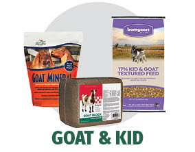 Shop Bomgaars for Goat and Sheep Feed Shop Bomgaars for Goat and Kid Feed